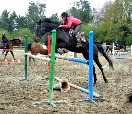 2013 - Betton _ Sacha des Brosses