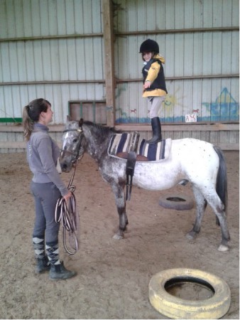 2013 - Cours d'Initiation à la volitige